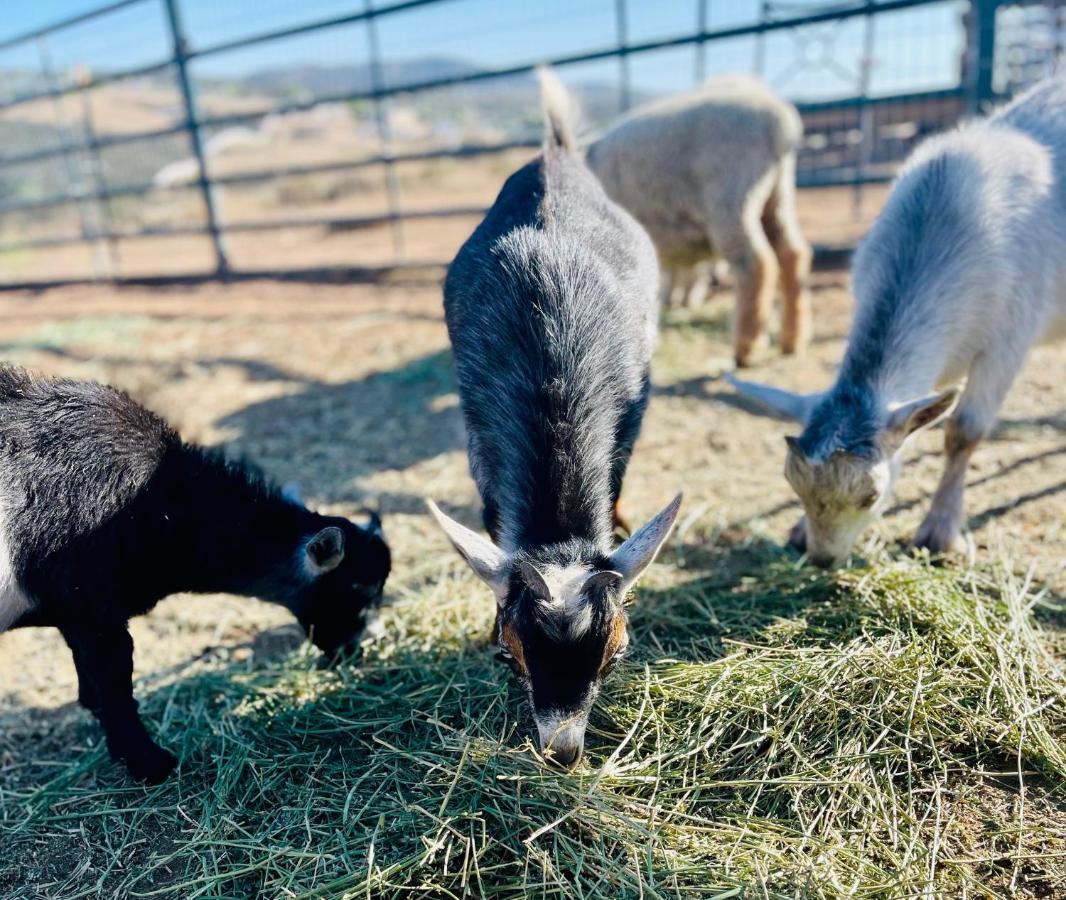 Rustic Farm Stay テメキュラ エクステリア 写真